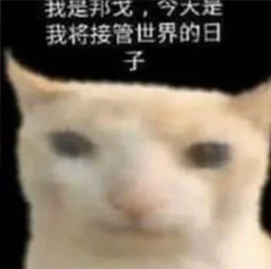 dgpjg45r7vo61.webp